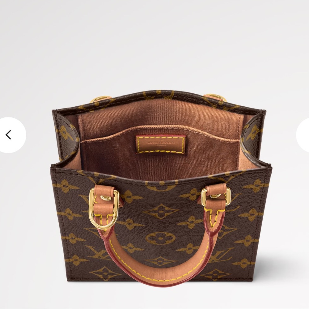 Louis Vuitton Petit Sac Plat bag - Picture 5 of 10